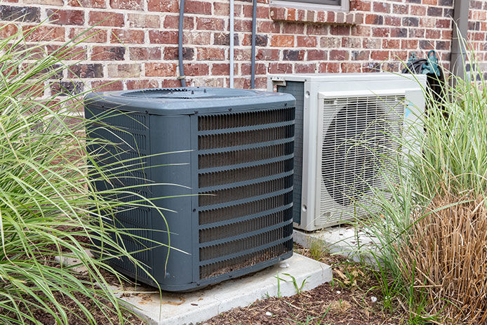 Landscaping grasses around the HVAC unit