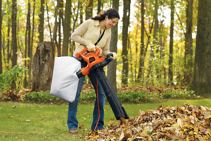 Woman using a leaf blower to vacuum the leaf into the blower bag