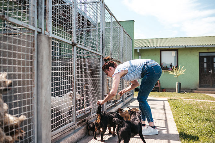 A women bending over tending toand feeding shelter pups 