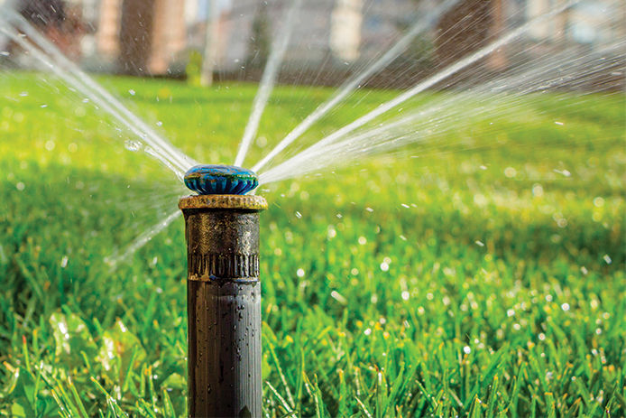 Pop-up sprinkler watering green lawn, close-up