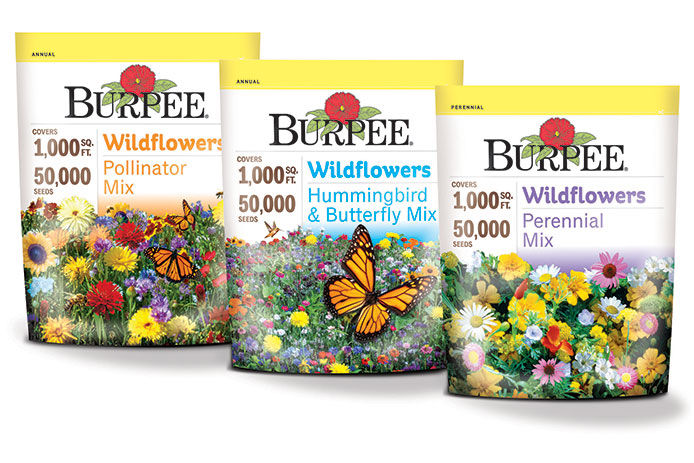 Wildflower Seed Mix