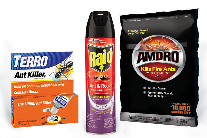 Three different store bought products to use to get rid of ants in and around your home