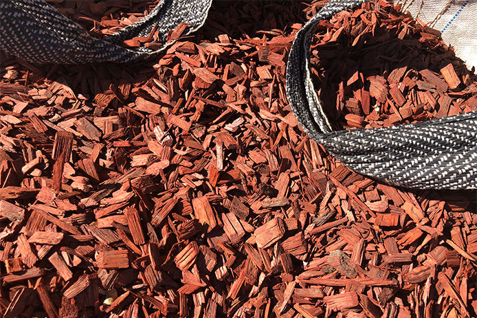 Red cedar mulch in landscaping