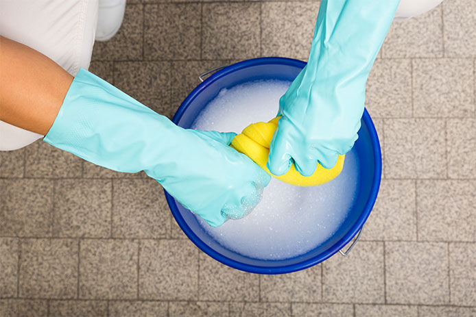 A person wringing out a sponge over a bucket of soapy water