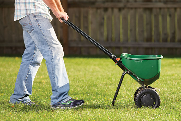 Man pushing a Scotts lawn fertilizer spreader across the yard
