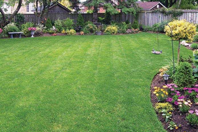 Green lawn