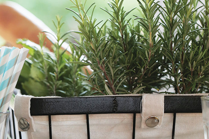 A close up image of rosemary growing in a canvas basket on a kitchen counter