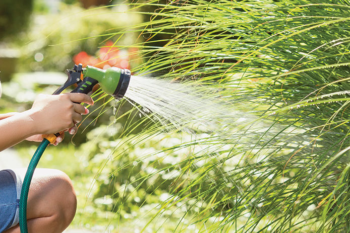 Watering a garden with a hose and nozzle 