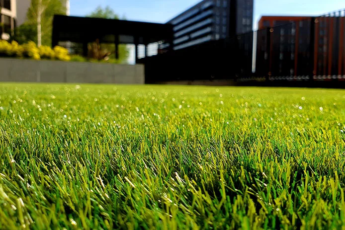 Close-up of a green lawn