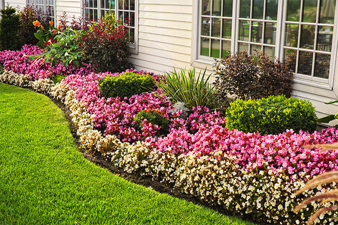 Flower bed landscaping