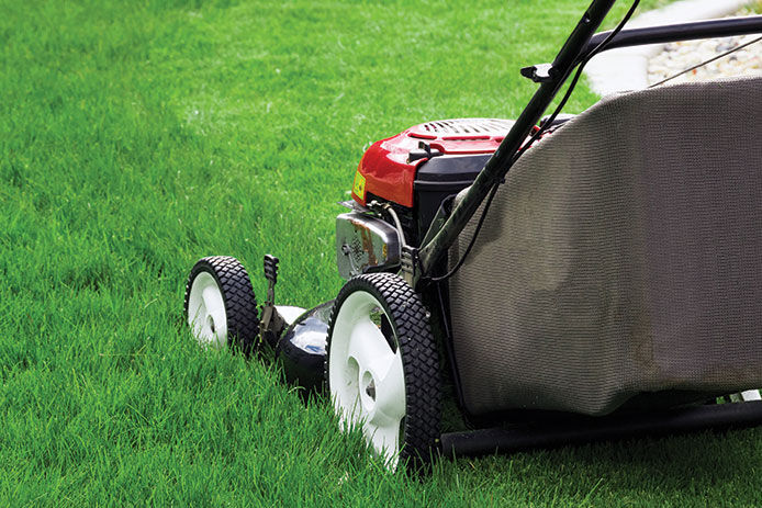 close-up of mower and a strip of mowed grass versus grown grass