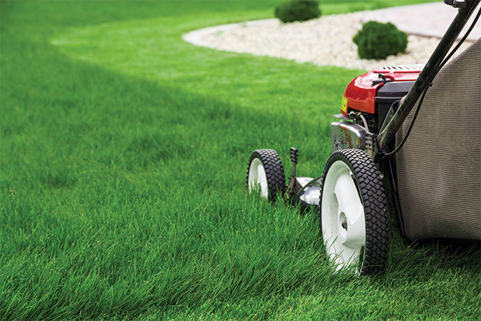 Person mowing the lawn featuring lawn mower