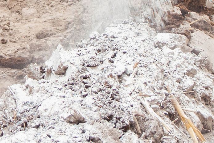 Soil dusted with oyster shell lime