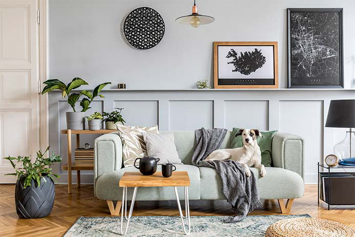 Stylish interior design of living room with modern mint sofa, wooden console, furniture, plant, mock up poster frame, pdecoration , elegant accessories in home decor and dog lying on the couch.