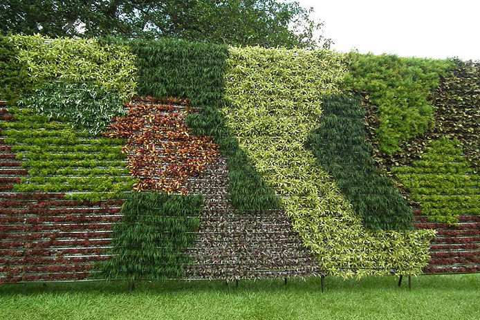 an outdoor ecofriendly wall with living plants on it