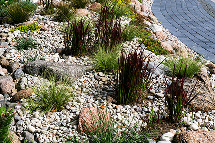 A beautiful rock landscape with a variety of green ornamental grasses and boulders