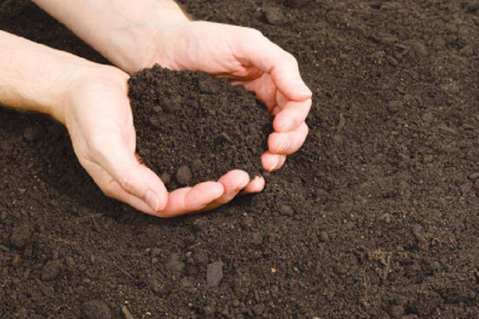 Holding soil