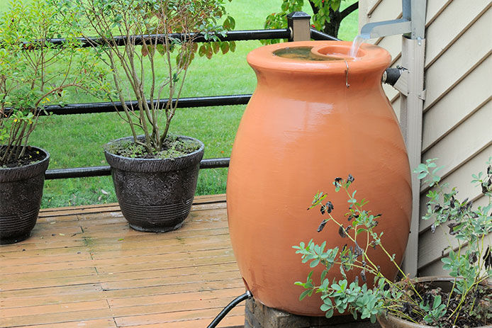 A tan rain barrel placed on a back patio sitting on a brick stand collected to a downspout