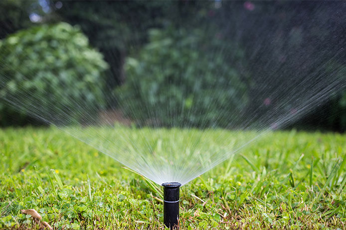 A in-ground black sprinkler head spraying water over a green lawn with blurred out bushes in the background