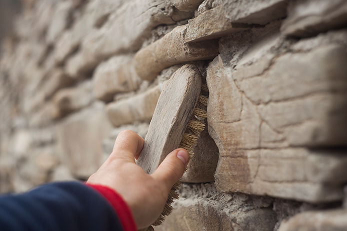 Brush on stone wall