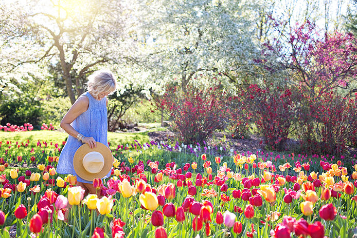 A woman wearing a blue dress and sun hat walks through a vibrant tulip field. The field is filled with rows of pink, yellow, red, and purple tulips in full bloom. The sun is shining down, casting a warm glow on the scene.