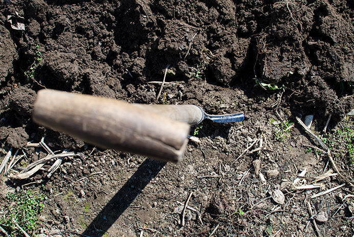 a top-down view of a garden spade being used to till the soil in a flower bed in preparation for spring planting. The spade is positioned at an angle, with the top handle visible at the top of the image and the pointed blade inserted into the soil.
