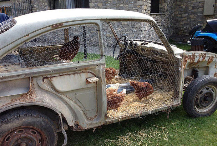 VW chicken coop