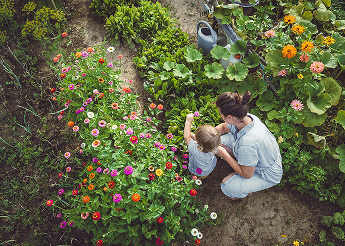 People in a garden of healthy flowers