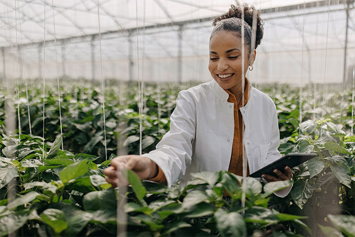 Scientist in a greenhouse