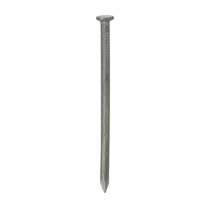 Common household silver nail