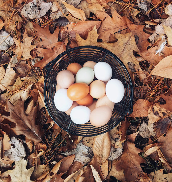 Basket of eggs