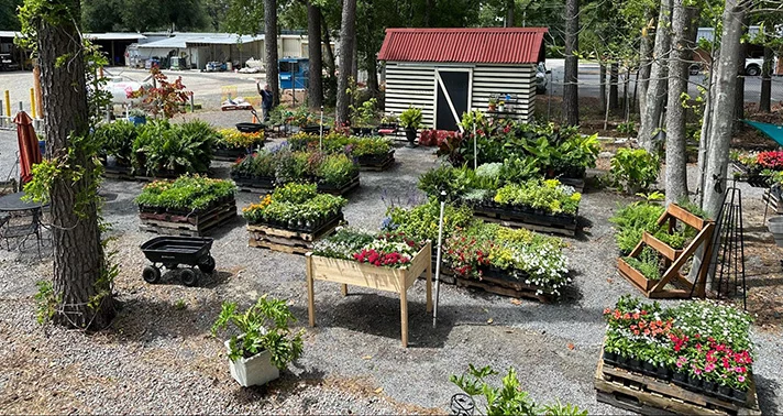 selection of backyard garden beds at hollywood hardware in south carolina