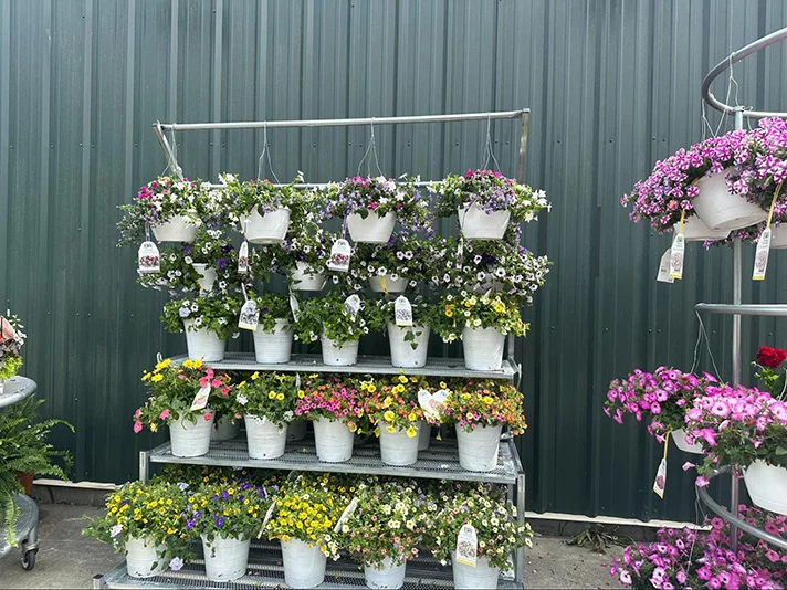 Hollywood Hardware Garden Center selection in South Carolina