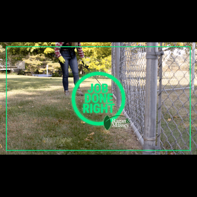 video_thumbnail2