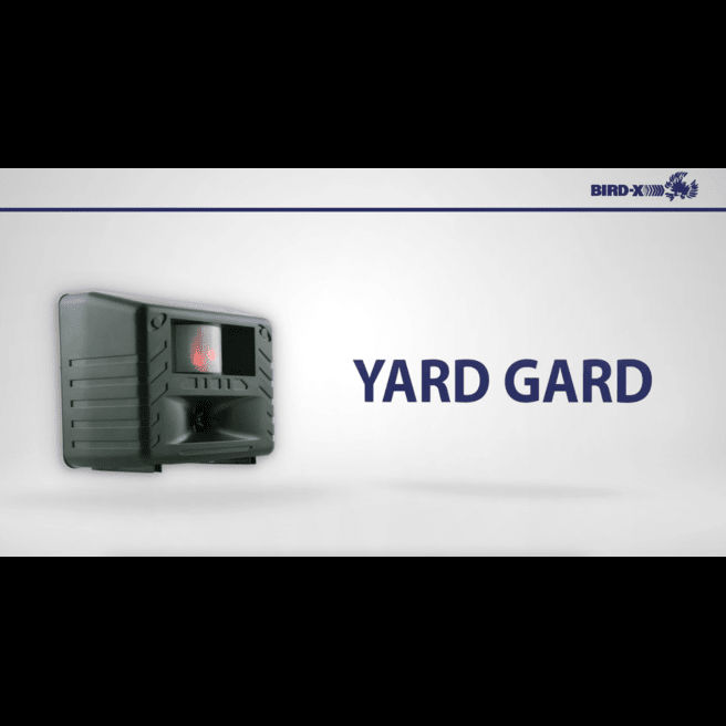 video_thumbnail2