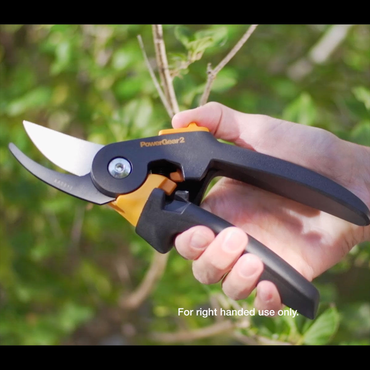 video_thumbnail2