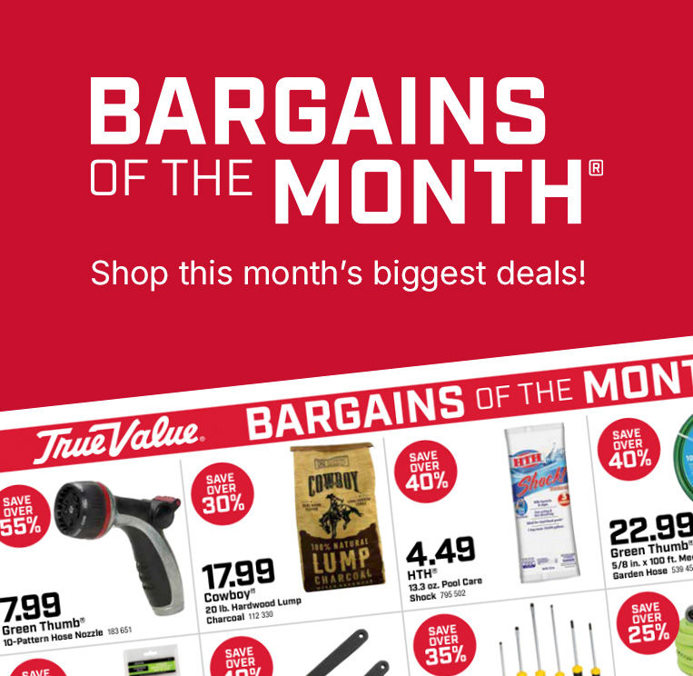 Shop Bargains of the Month