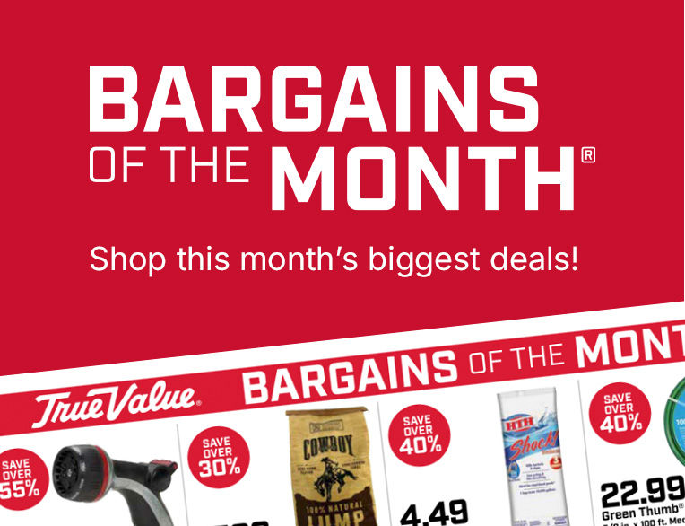 Bargains of the Month — Shop this month's biggest deals!