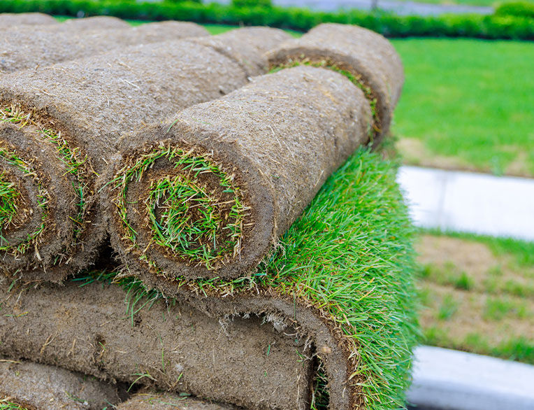 Rolls of sod