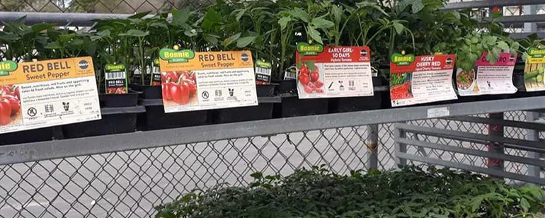 Greenhouse & Equipment