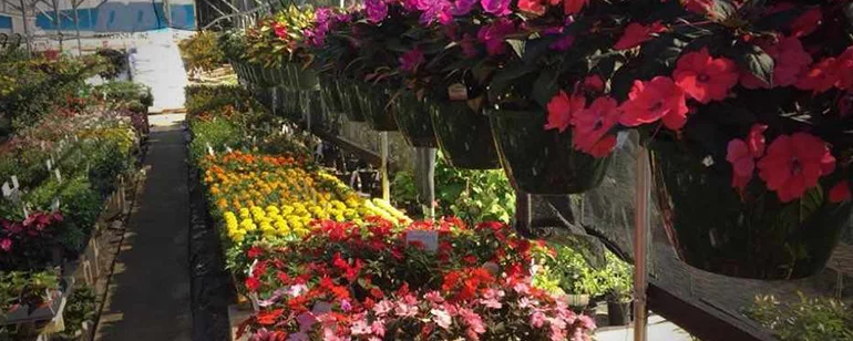 Lawn & Garden