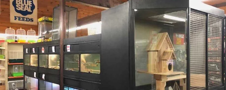 Pet Supplies & Live Animals