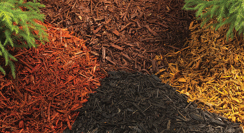 Spruce up Your Yard with Mulch | Do it Best