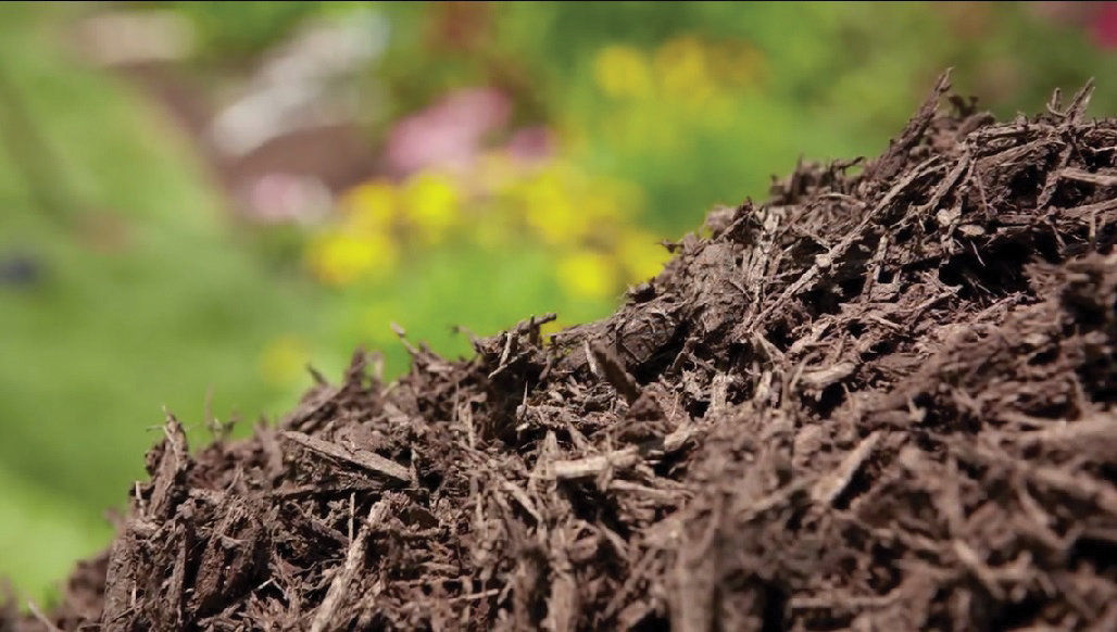 Close-up of a pile of leftover brown mulch