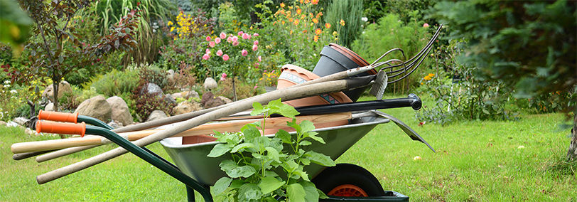 Wheelbarrow filled with various different lawn and garden tools