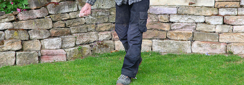 Man wearing cargo pants and plaid long sleeve sprinkling grass seed in yard