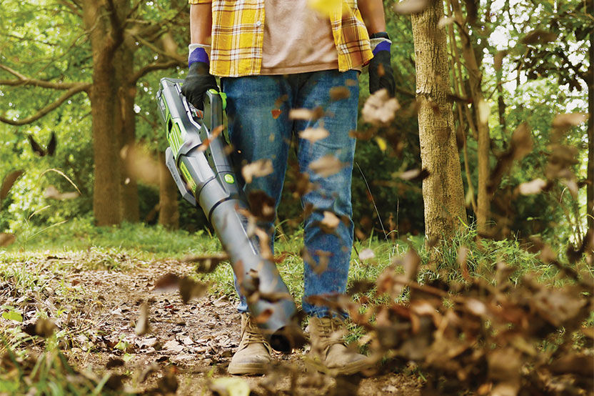 Greenworks Leaf Blower