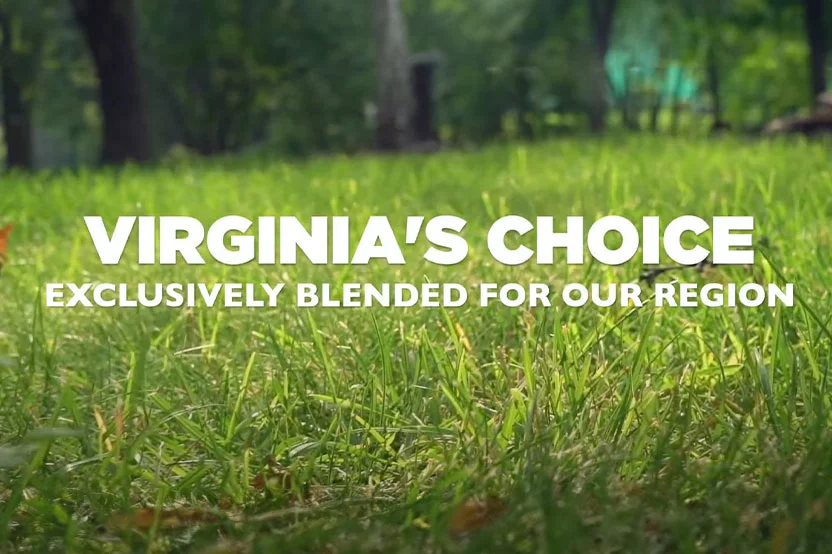 Virginia's Choice Grass Seed