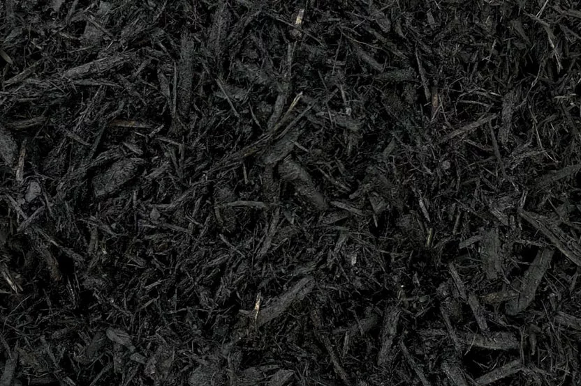 black mulch