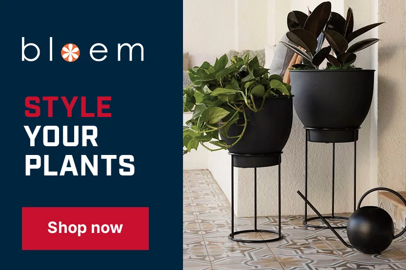 Style Your Plants — Shop Bloem planters